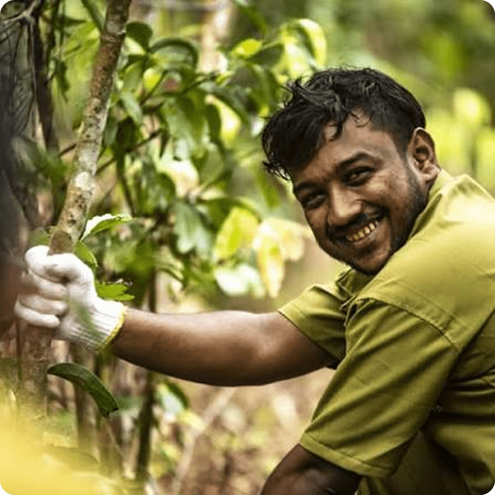 Ethical Sourcing & Practices
